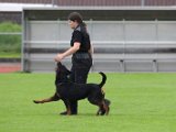 5 Rassen Chip 2 2013-09-29 379